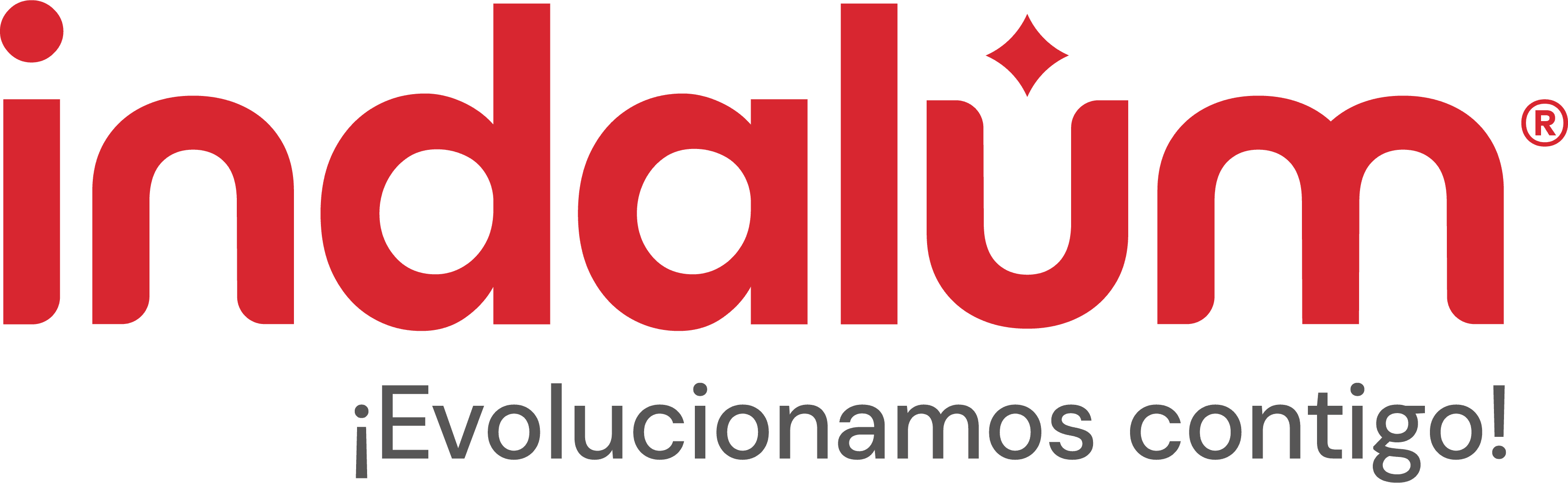 INDALUM INDUSTRIAL DE ALUMINIO SA